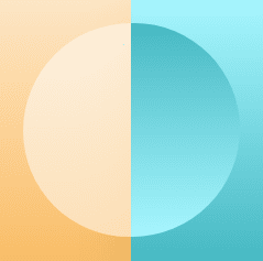 Group-61-1-e1609408017439-min Group-61-1-e1609408017439-min